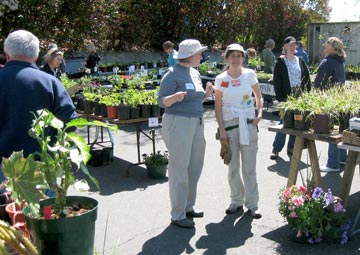 plantsale