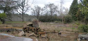 Cedar Mill News