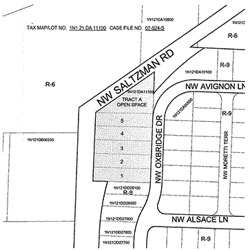 saltzman_map