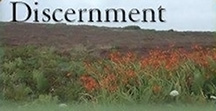 discernment
