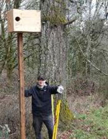 owl box