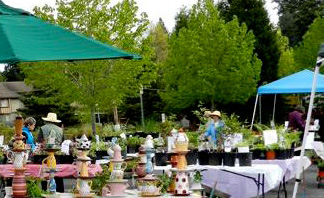 cmg_plant_sale