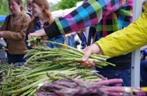 Asparagus.