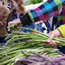 Cedar Mill Farmers Market 2016