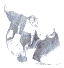 aikido