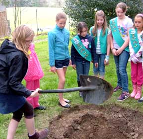 tree planting