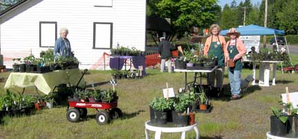 garden club sale