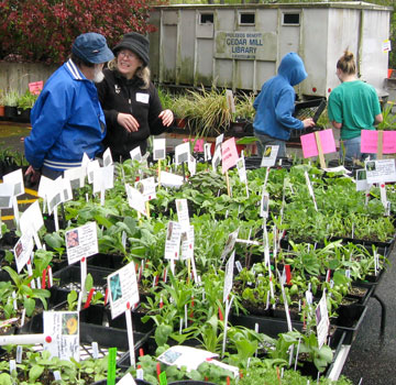 cmcl plant sale