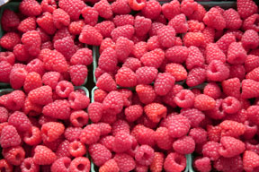 raspberries