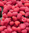 raspberries