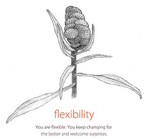 flex