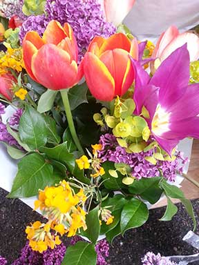 flowers