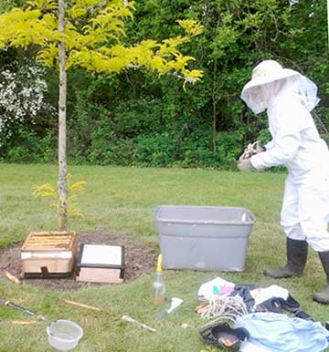 beekeeper