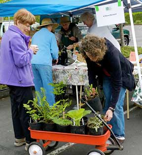 Garden Club Plant Sale