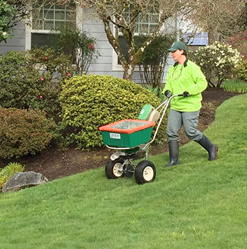 Japanese Beetle eradication