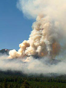 Smoke rises from a fire.