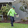 Japanese beetle eradication effort could fail in Cedar Mill