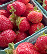 Cedar Mill Farmers Market is OPEN
