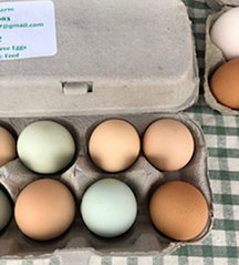 eggs