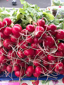 radishes