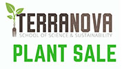 terra nova logo