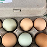 Cedar Mill Farmers Market opens for the season