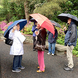 nature walk