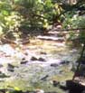 Cedar Mill Creek