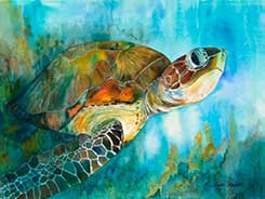 turtle