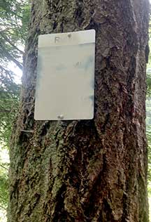 arson back yard sign