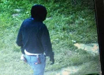 arson suspect