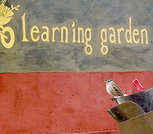 PCC bird sign