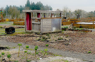 PCC bulb shed