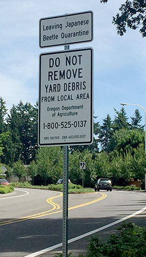 beetle sign