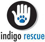 indigo rescue logo