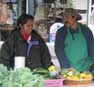 Adelante Agricultura