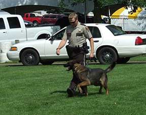 k9
