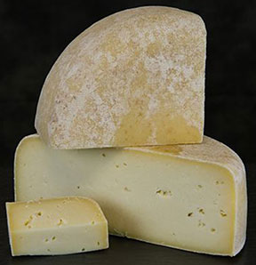 cheese