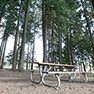Cedar Hills Park Plan&mdash;Inter-Agency Cooperation Brings Impressive Results!