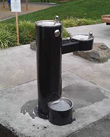 Fountain