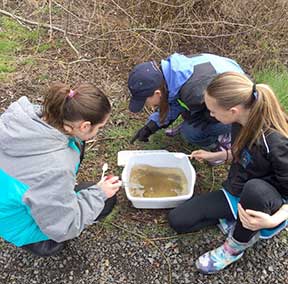 K8 wetland trip