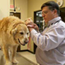Bethany Family Vet