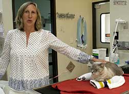 Cindy with Spencer, the Treatment Room Supervisor. She says, &ldquo;He keeps a keen eye on all the dogs and cats in our treatment area. Here he is sitting comfortably on a treatment table, having convinced the staff that he needed to be surrounded by some nice warm heating pads.&rdquo;