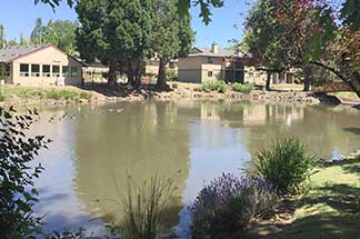 The 300-unit complex surrounds a lake formed from&nbsp; Cedar Mill Creek. 