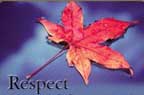 Cedar Mill News Respect