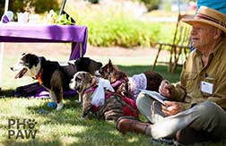 Elderly man sits on lawn with pets.
