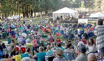 Concert viewers in the park.