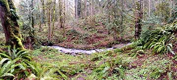 Ward Creek.
