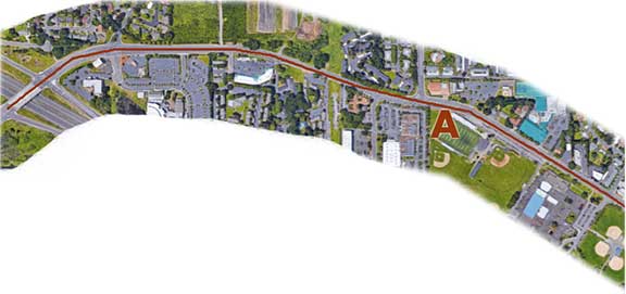 Cornell Road map 1