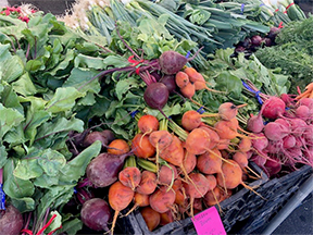 multi-colored beets